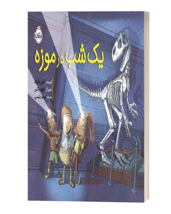یک شب در موزه